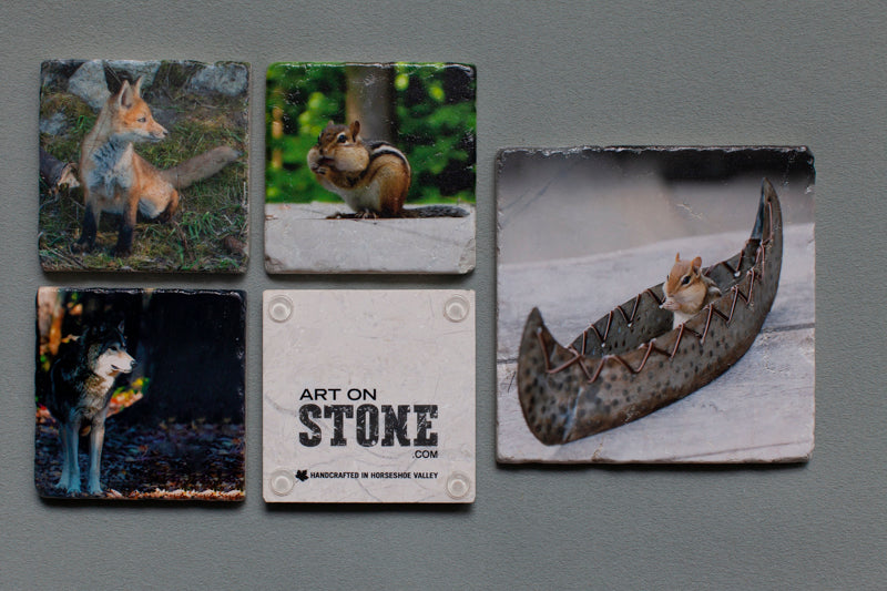 Bundle & Save - 4 Coasters 1 Trivet
